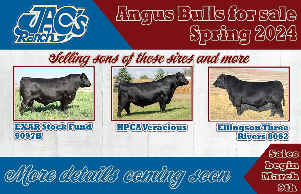 Save the Date - Angus Bulls for Sale - March 9 2024